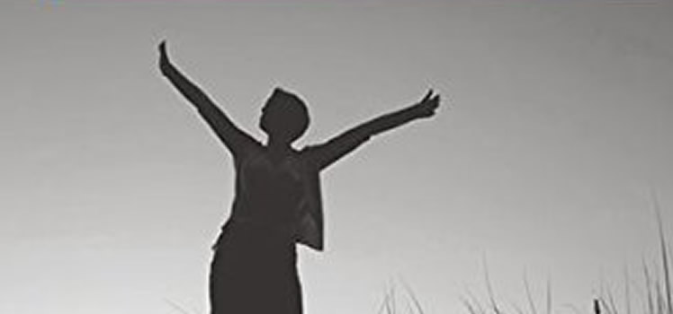 Claudia Lampert: Der Mondgartentraum