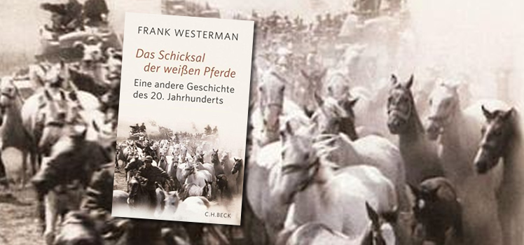 Frank Westerman: Das Schicksal der weißen Pferde