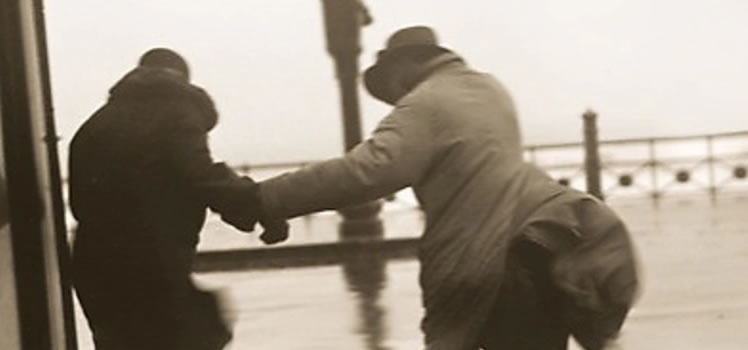 Alex Capus: Fast ein bißchen Frühling