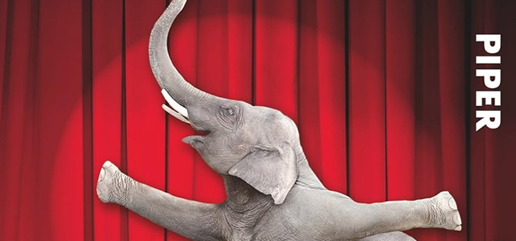 Niccolò Ammaniti: Lasst die Spiele beginnen