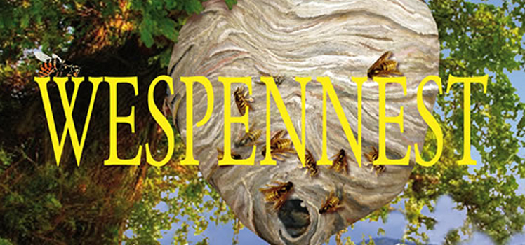 Andreas Zwengel: Wespennest