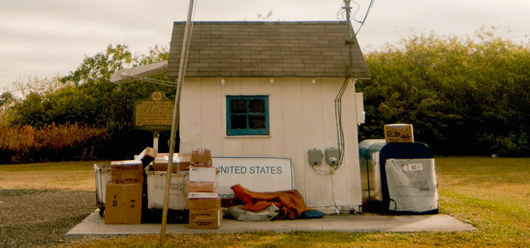 T.C. Boyle: Hart auf hart