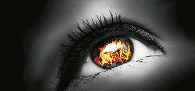 Hardy Crueger: Die Stunde der Flammen