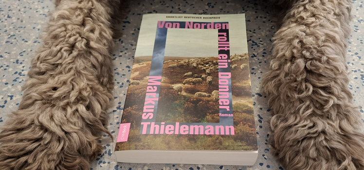 Markus Thielemann: Von Norden rollt ein Donner