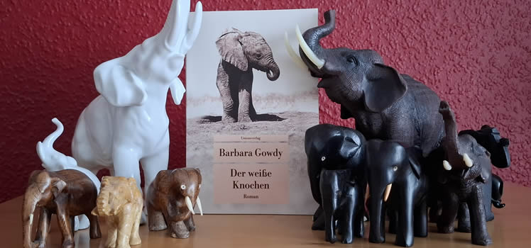 Barbara Gowdy: Der weiße Knochen